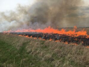 Rolling a little fire on a CRP burn