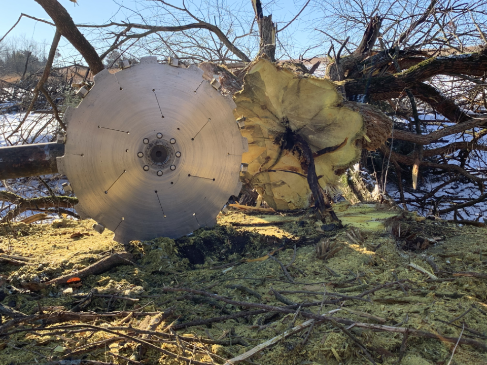 Specialized saw shown in front of large tree that has been cut down.