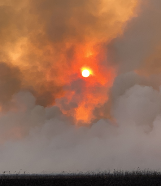 Intense view of the sun through the smoke from a controlled burn.